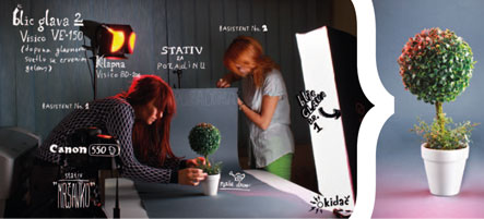 Forma 8