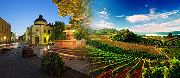 GRID Simpozijum - mesto održavanja